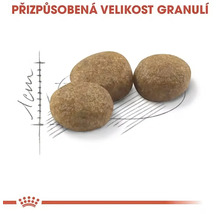 Tři hnědé granule vedle měřítka 1 centimetr pro znázornění přizpůsobené velikosti granulí, Royal Canin Logo.