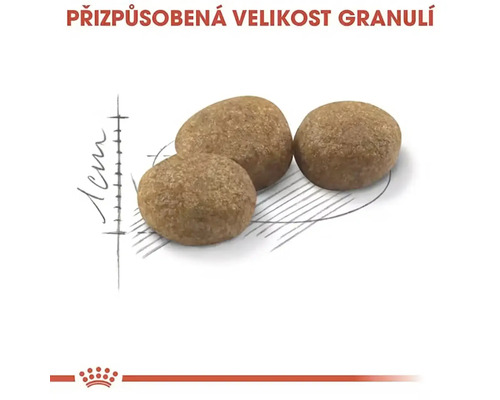 Tři hnědé granule vedle měřítka 1 centimetr pro znázornění přizpůsobené velikosti granulí, Royal Canin Logo.