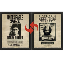 Harry Potter 3D lentikulární plakát v černém rámu s měnícím se motivem Harryho Pottera a Siriuse Blacka.