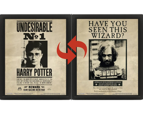 Harry Potter 3D lentikulární plakát v černém rámu s měnícím se motivem Harryho Pottera a Siriuse Blacka.