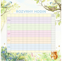 Rozvrh hodin pro školáky s ilustracemi lesa, veverky, ptáků a borůvek v akvarelovém stylu.