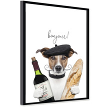 Zarámovaný obraz Jack Russell teriéra s baretem, knírem, lahví vína a bagetou a nápisem bonjour.