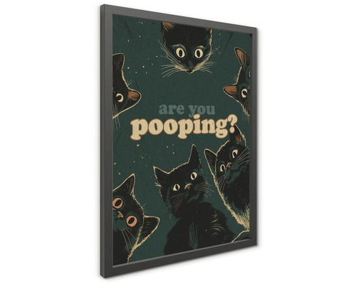Rámovaný obraz na stěnu s ilustracemi černých koček a textem are you pooping.