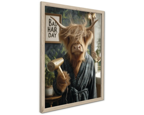 Rámovaný nástěnný obraz s náhorním skotem v kostkovaném županu držícím fén, s nápisem Bad Hair Day v pozadí.