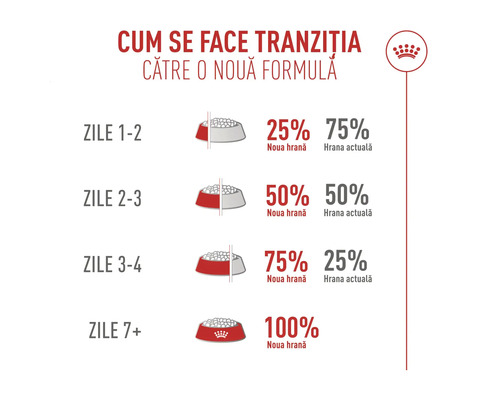 Infografika k přechodu na krmivo během 7 dnů se zvyšujícím se podílem nového krmiva od 25 do 100 procent. Royal Canin Logo.