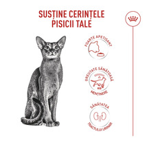 Logo Royal Canin. Výhody krmiva pro kočky: Vysoká chutnost, udržování ideální hmotnosti a zdraví močových cest.