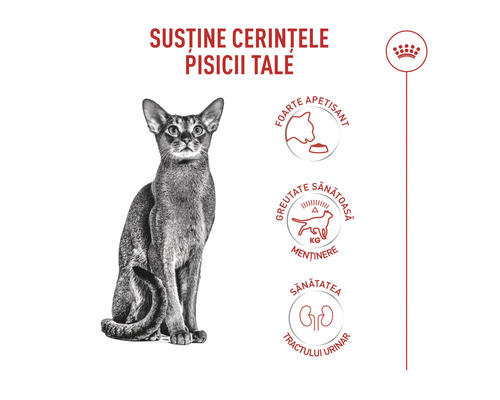 Logo Royal Canin. Výhody krmiva pro kočky: Vysoká chutnost, udržování ideální hmotnosti a zdraví močových cest.