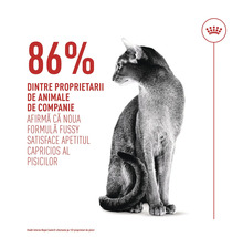 Sedící kočka vedle textu: 86 procent majitelů potvrzuje, že receptura Fussy uspokojuje vybíravé kočky. Royal Canin Logo.