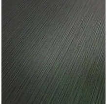 Vliesová tapeta Trend Spectrum 324794 metalický efekt šedá, černá 53 x 1005 cm
