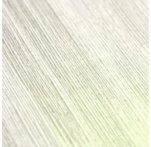 Detailní pohled na povrch s jemnou lineární strukturou.