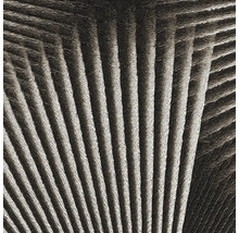 Vliesová tapeta Trend Spectrum 792523 s efektem černá, stříbrná 53 x 1005 cm