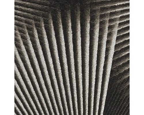 Vliesová tapeta Trend Spectrum 792523 s efektem černá, stříbrná 53 x 1005 cm