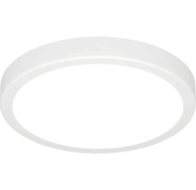 Kulaté LED stropní svítidlo v bílé barvě s plastovým krytem.