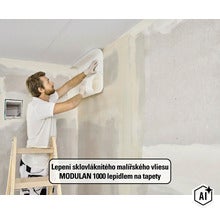 MODULAN malířská sklovláknitá tapeta 3565000080-03 45 g/m² 1x50 m (Image AI modified or generated)