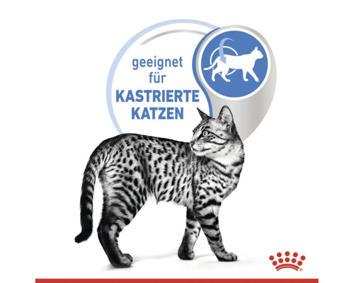 Symbolický obrázek krmiva pro kastrované kočky s logem Royal Canin