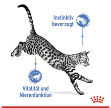 Skákající kočka s informacemi o instinktivní preferenci, vitalitě a funkci ledvin a logo Royal Canin.