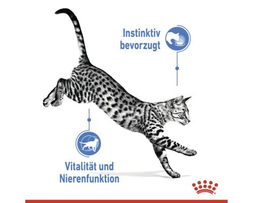 Skákající kočka s informacemi o instinktivní preferenci, vitalitě a funkci ledvin a logo Royal Canin.