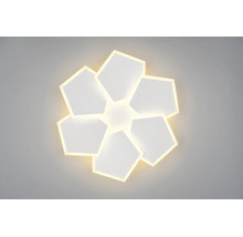 Moderní LED stropní svítidlo v květinovém designu se šesti pětiúhelníkovými světelnými prvky
