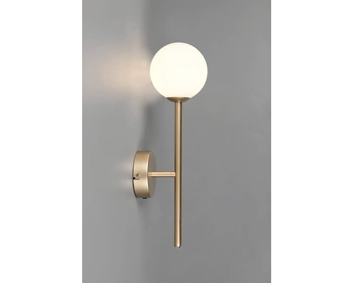 Moderní nástěnné svítidlo s kulovitým skleněným stínidlem a kovovým rámem pro montáž na stěnu