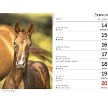 List nastrojneho kalendare pro cerven 2027 s fotografii budenonskeho hribete a kalendarnimi udaji pro dvacaty ctvrty tyden.