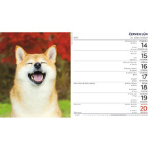 Nástěnný kalendář 2027 s fotografií smějícího se psa Shiba Inu pro týden od 14. do 20. června.