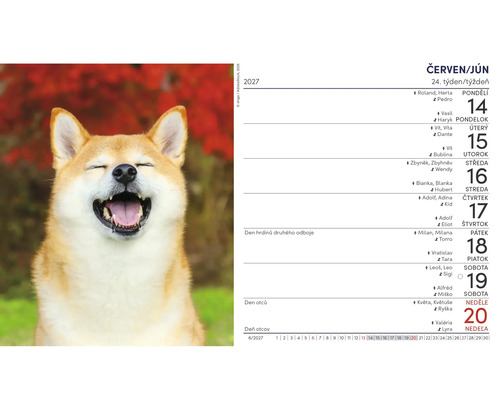 Nástěnný kalendář 2027 s fotografií smějícího se psa Shiba Inu pro týden od 14. do 20. června.