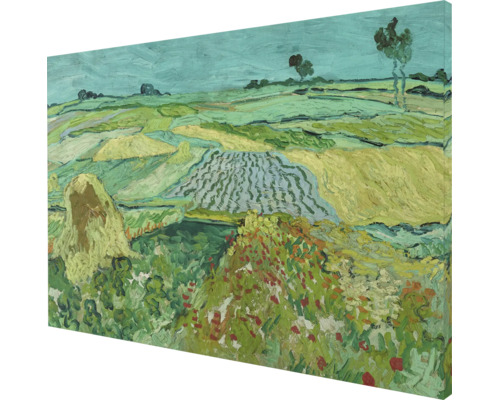 Nástěnný obraz na plátně s motivem krajiny od Vincenta van Gogha jako dekorativní nástěnná dekorace