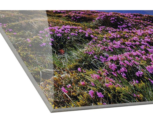 Akrylová skleněná fotografie s loukou plnou květin