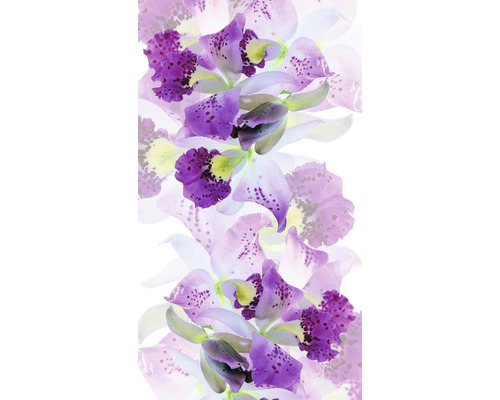 Detail fialových květů orchidejí