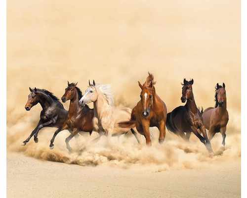 Malba se skupinou cválajících koní