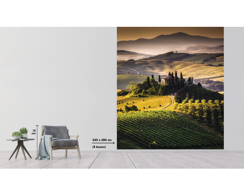Fototapeta s toskánskou krajinou a statkem, rozměr 243x280 cm