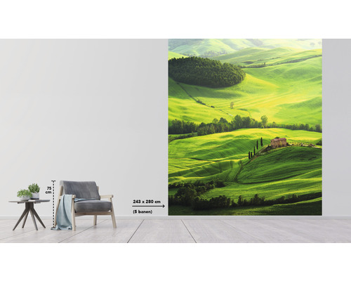 Foto tapeta s motivem krajiny zelené kopcovité krajiny s domy, formát 243 x 280 centimetrů