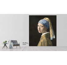 Nástěnná malba s malbou Dívka s perlou od Jana Vermeera, velikost 243 x 280 cm