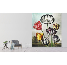 Fototapeta s motivem tulipánů v obývacím pokoji, rozměry 243 x 280 centimetrů