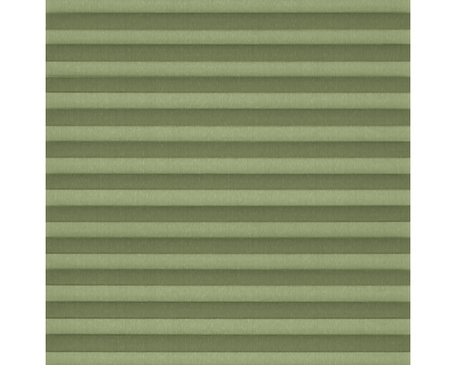 Plisé roleta do okna