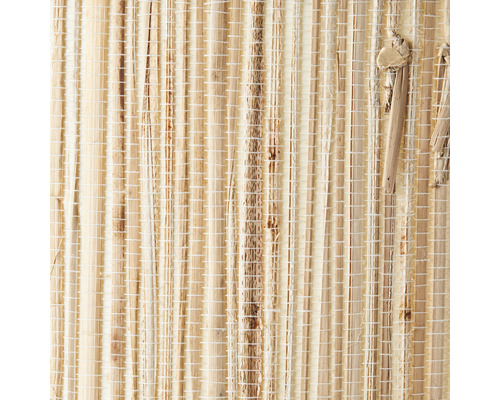 Detailní záběr na strukturu lýka