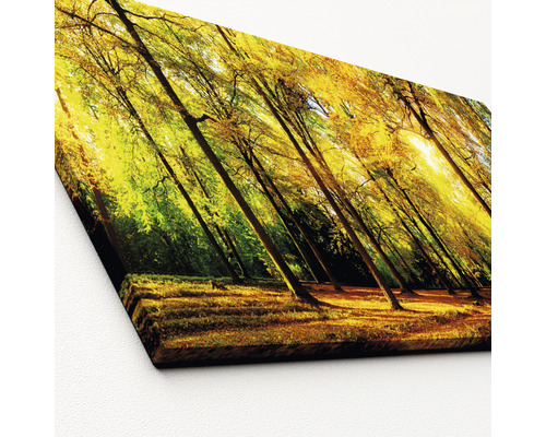 Obraz na plátně s motivem lesa