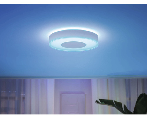 Kruhové stropní svítidlo v obývacím pokoji s rostlinami