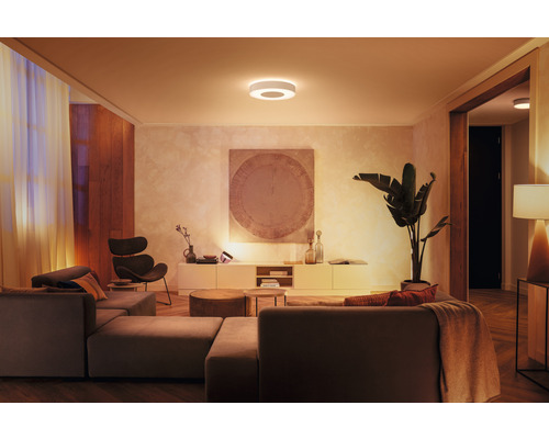 Obývací pokoj s pohovkou, křeslem, skříní, pokojovou rostlinou a kulatým stropním svítidlem