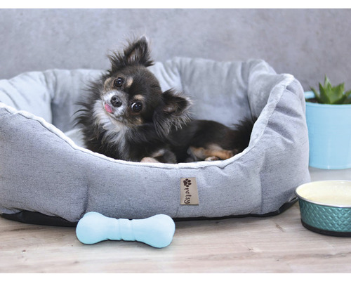 Pes leží v šedé psí posteli s hračkou kostí a miskou na jídlo