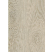 Detail světlého dřevěného povrchu s kresbou dřeva