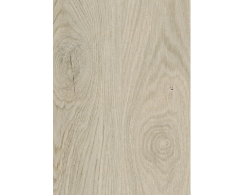 Detail světlého dřevěného povrchu s kresbou dřeva