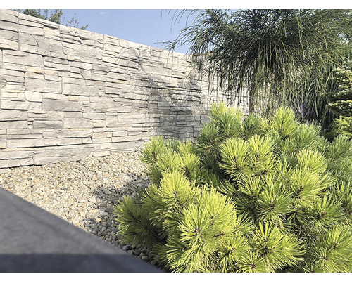 Pohled do zahrady s kamennou zdí, štěrkovou cestou a rostlinami