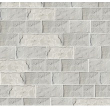 Obkladový kámen Arctic mramorový bílý 10x40 cm