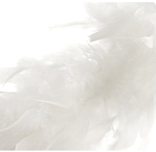 Dekorativní péřová boa