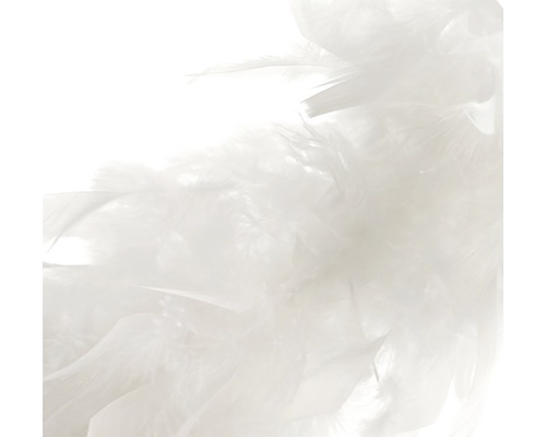 Dekorativní péřová boa