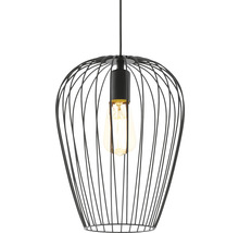 Černé drátěné závěsné svítidlo s žárovkou