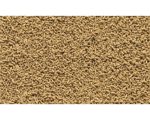 Sušené droždí v detailu