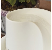 Detailní záběr pítka pro domácí mazlíčky s vodou