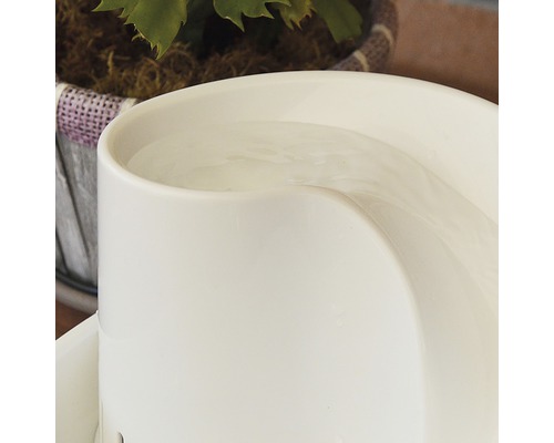 Detailní záběr pítka pro domácí mazlíčky s vodou